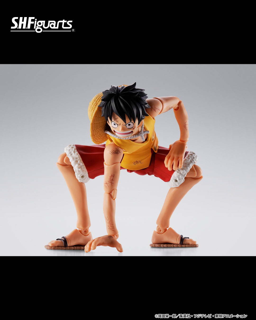 (PREVENTA) S.H.Figuarts Monkey D. Luffy -Marineford- (One Piece)