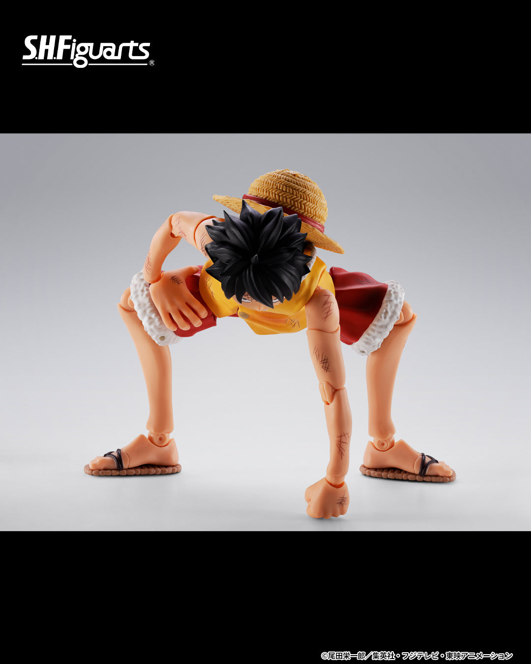 (PREVENTA) S.H.Figuarts Monkey D. Luffy -Marineford- (One Piece)