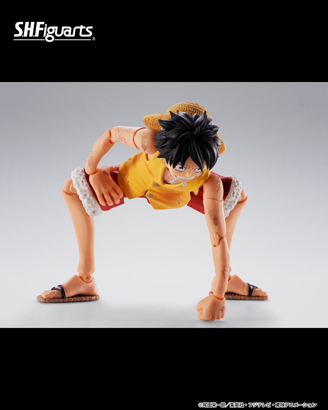 (PREVENTA) S.H.Figuarts Monkey D. Luffy -Marineford- (One Piece)