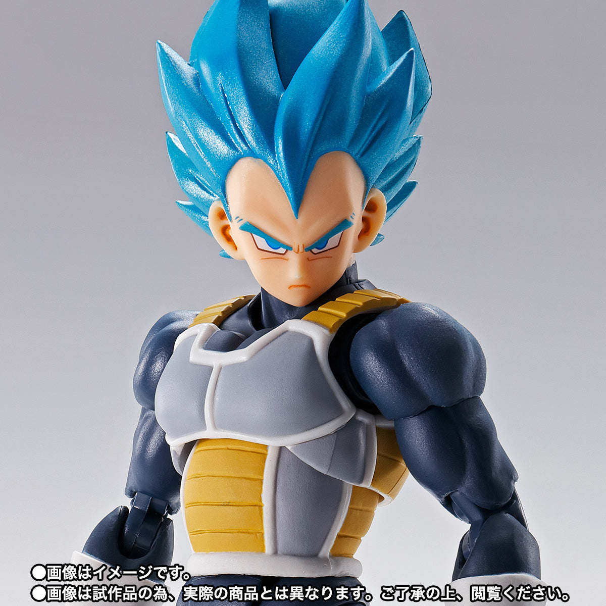 S.H.Figuarts Vegeta Super Saiyan Blue -15th Anniversary Ver.- (Dragon Ball Super)