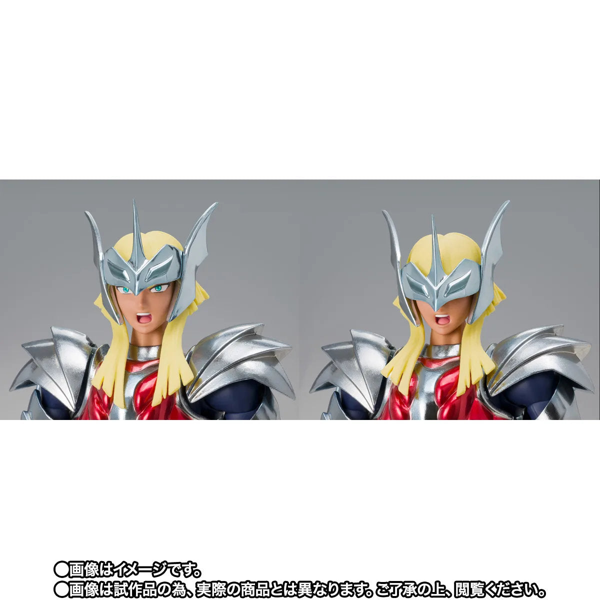(PREVENTA) Myth Cloth EX Saint Seiya - Beta Merak Hagen -40th Anniversary Ver.-
