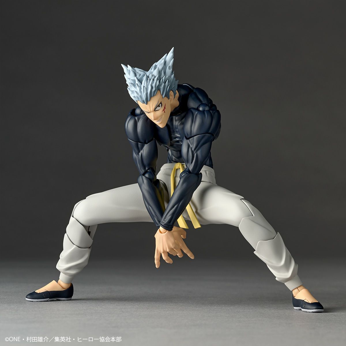 (PREVENTA) Revoltech Amazing Yamaguchi Garou (One Punch Man)