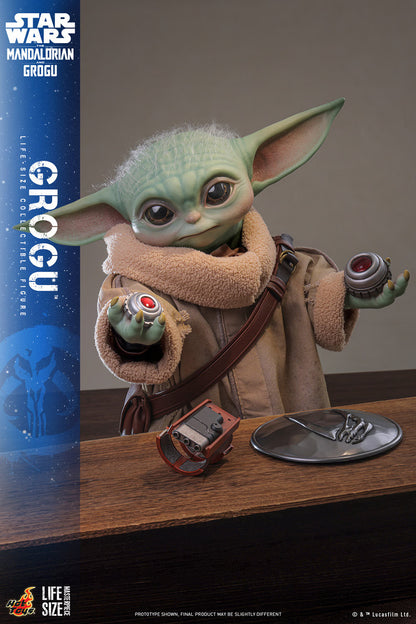 (PREVENTA) Hot Toys Grogu Life Size Masterpiece (Star Wars: The Mandalorian & Grogu) (Reissue)