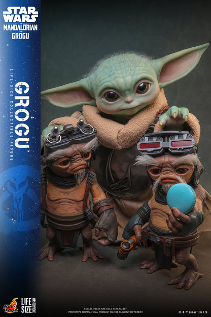 (PREVENTA) Hot Toys Grogu Life Size Masterpiece (Star Wars: The Mandalorian & Grogu) (Reissue)